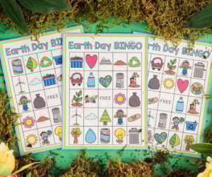 earth day bingo cover