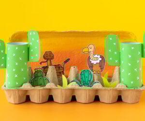 Egg Carton Desert