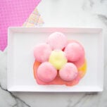 Fizzy Flower Experiment