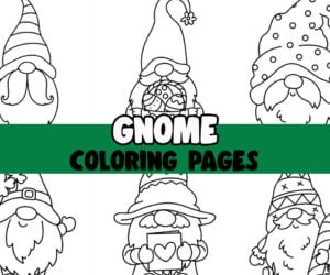 Gnome Coloring Pages Cover